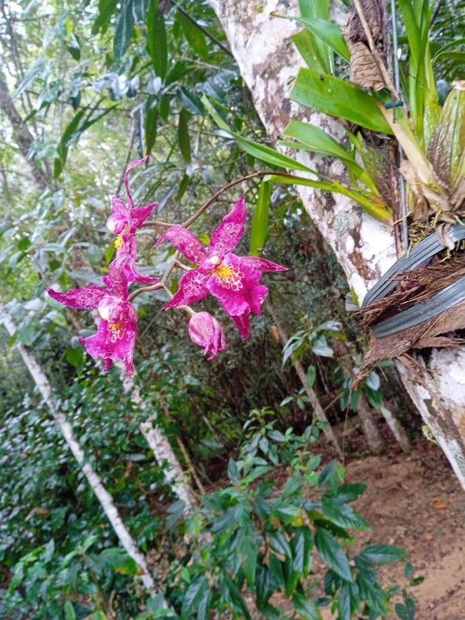 Casa De Campo Banheira, Lareira E Cachoeira Pedra Azul  Exterior foto